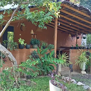 sigiriya-danu-homestay.kandyhotelsnow.com/